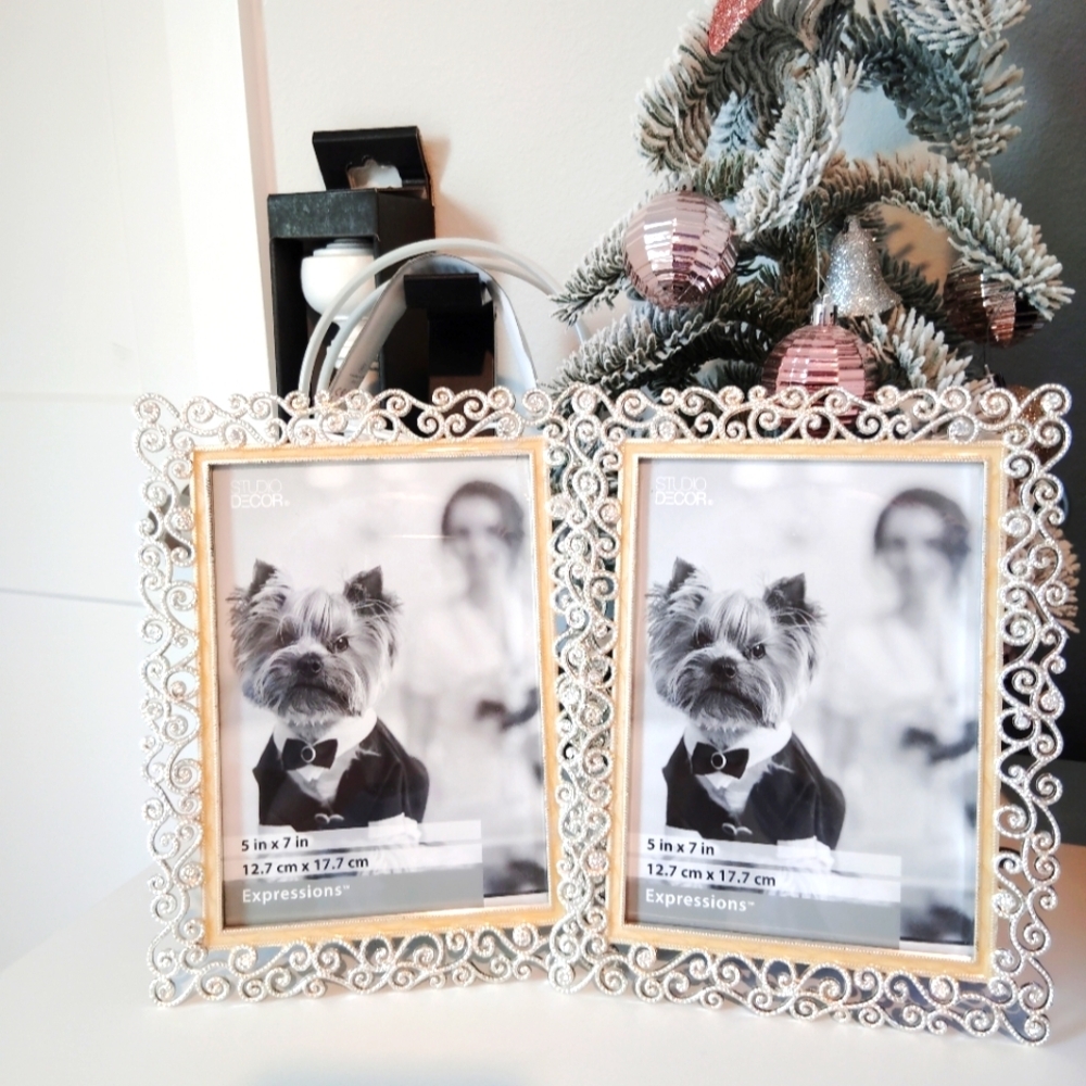Expressions Silver Decorative Frame Pack Of 2